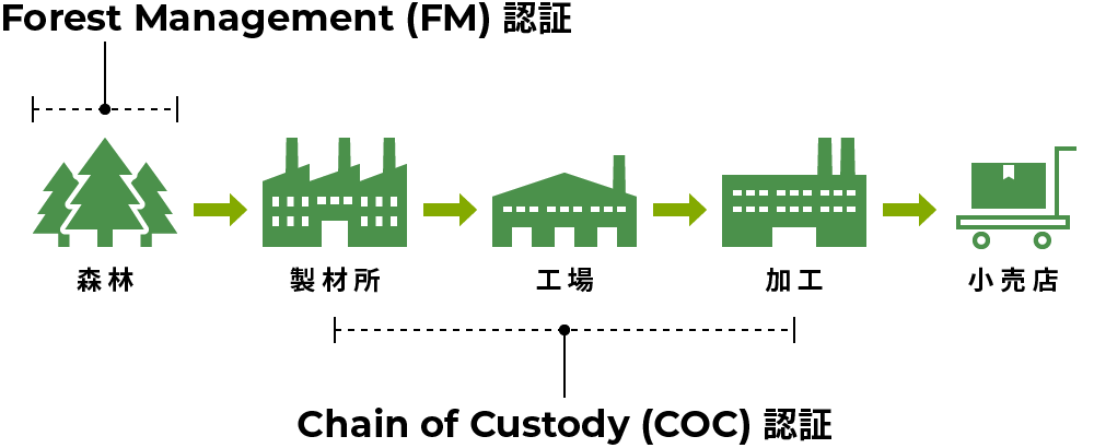 図：森林が責任をもって管理されているかを審査し、認証するのがFM認証であり、認証林から収穫された認証材が消費者の手に届くまでの加工・流通過程を認証するのがCoC認証。